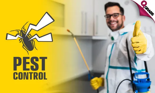 Pest Control: Cockroach & Bedbug Treatment Services!